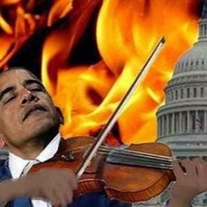 Meet your Posher, Joy